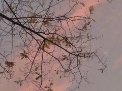 -百威KTV(恒福路店)