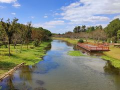 -上海海湾国家森林公园
