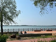 -丁香湖公园