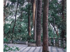 -南岗山公园