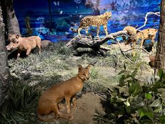 -国家自然博物馆