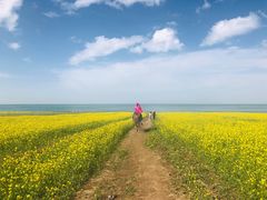 -青海湖国家重点风景名胜区