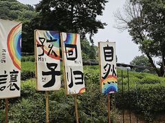 -龙坞茶村