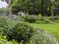 -上海共青森林公园