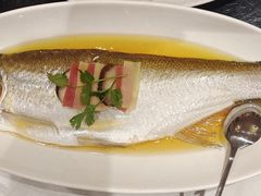 -上海1号私藏菜(黄浦店)