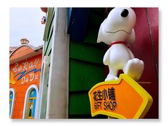 -史努比缤纷世界