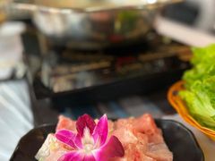 -鲜入围煮花胶鸡海鲜火锅