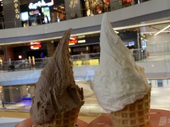-野人先生现做冰淇淋(北京环宇荟店)