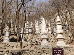 -天津盘山风景名胜区