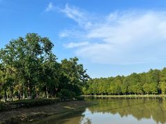 -上海海湾国家森林公园