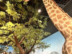 -陕西自然博物馆