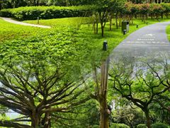 -荔香公园