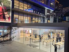 -Apple零售店(深圳益田假日广场店)