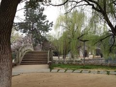 -甘棠公园