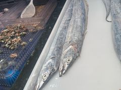 -高佳庄·海鲜酒楼(定海店)