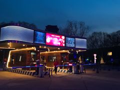 -枫花园汽车电影院(朝阳公园店)