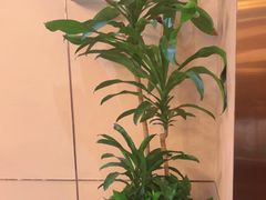 -臻萃轩中餐厅(国家会展中心店)