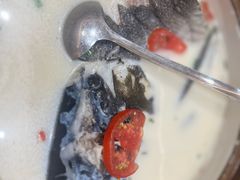 -全乐鱼馆·淳牌有机鱼直营店