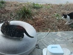 -筠咖啡西餐厅(上海国展宝龙丽筠酒店)