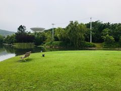 -上海佘山世茂艾美酒店