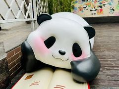 -轩客会(熊猫书店)