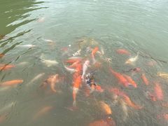 -中国傩城