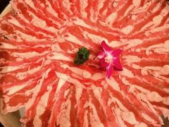 -朱光玉火锅馆(龙阳广场店)