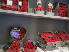 -ROSEONLY诺誓(国际广场购物中心店)
