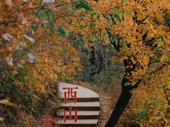 -北京西山国家森林公园