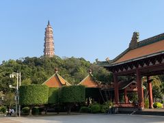 -顺峰山公园