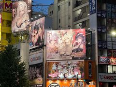 -秋叶原电器街
