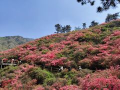 -木兰云雾山