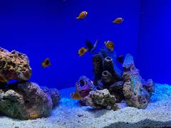 -上海海洋水族馆