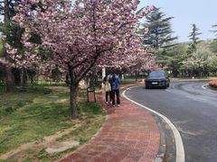 -河南省黄河迎宾馆