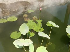 -文瀛公园