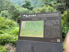 -苍山感通索道