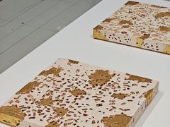 -深圳市当代艺术与城市规划馆