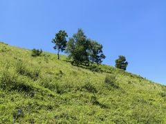 -灵山