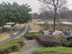 -国际非物质文化遗产博览园
