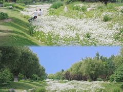 -汉长安城未央宫国家考古遗址公园