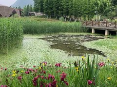 -贵阳市花溪国家城市湿地公园