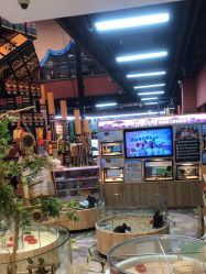 -卡通尼·Safari非洲探索乐园·生日会(金桥国际商业广场店)