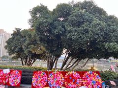 -花果园湿地公园