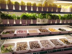 自助取餐区-领鲜活海鲜榴莲自助火锅(东门店)