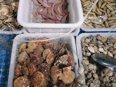 -鲜小岛·铜锅涮肉