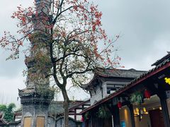 -张醪糟(街子店)