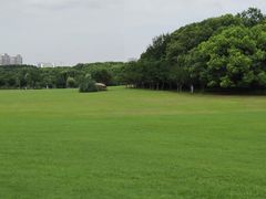 -昆山城市生态森林公园