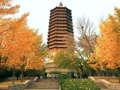 -玲珑塔公园