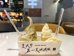 -野人先生现做冰淇淋(北京环宇荟店)