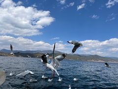 -丽江泸沽湖景区